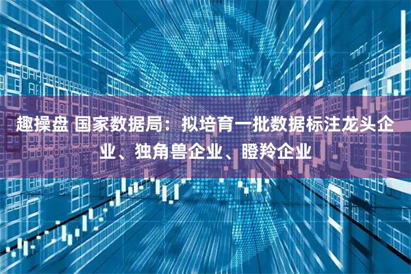 趣操盘 国家数据局：拟培育一批数据标注龙头企业、独角兽企业、瞪羚企业
